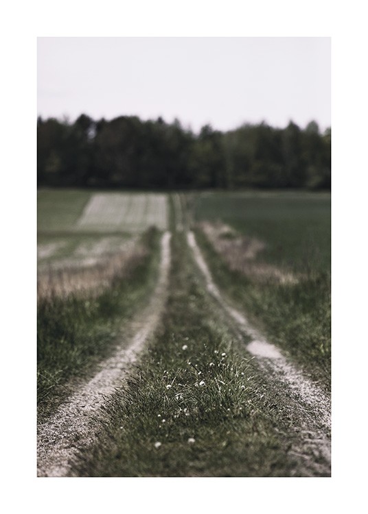  – Fotografia de uma estrada pequena no campo, com campos de erva nas laterais, e árvores desfocadas de fundo