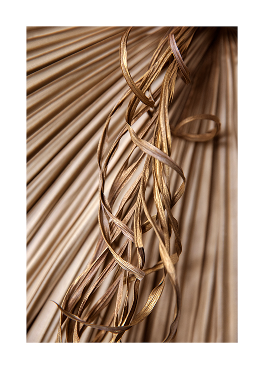 Swirled Leaves Poster