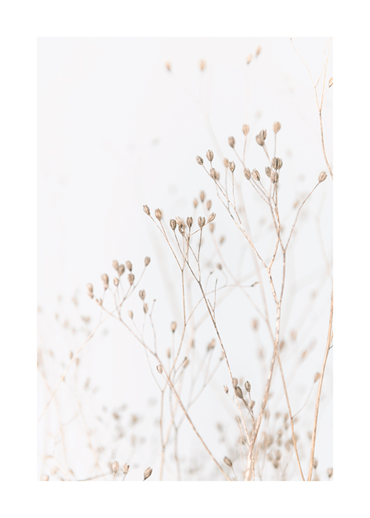 Grass In Soft Tones Poster