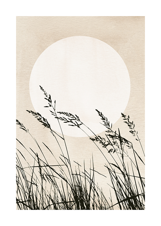 Sunset Reeds Poster