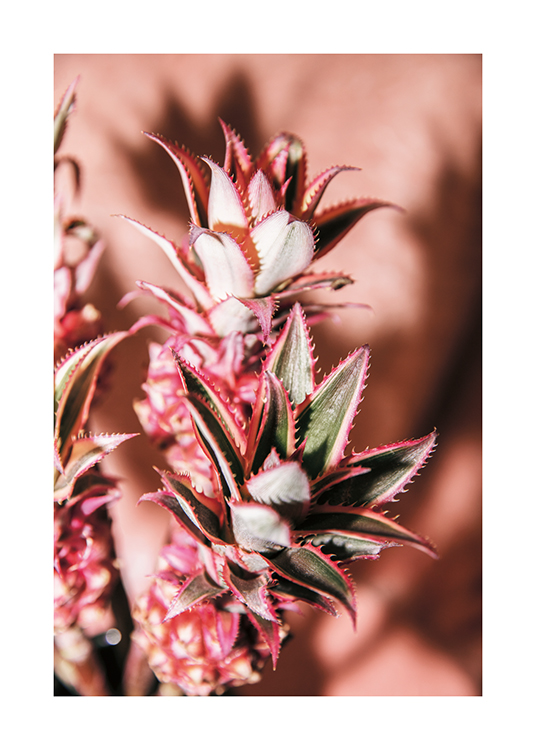 Pineapple Flower No2 Poster