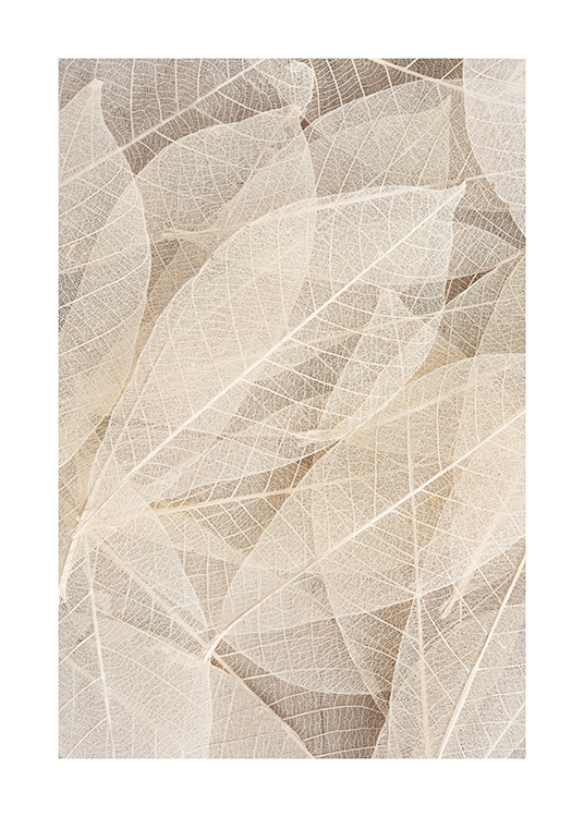 Skeleton Of Leaves Poster