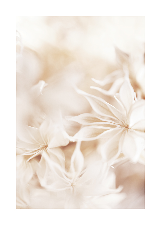 Floral Bokeh Poster