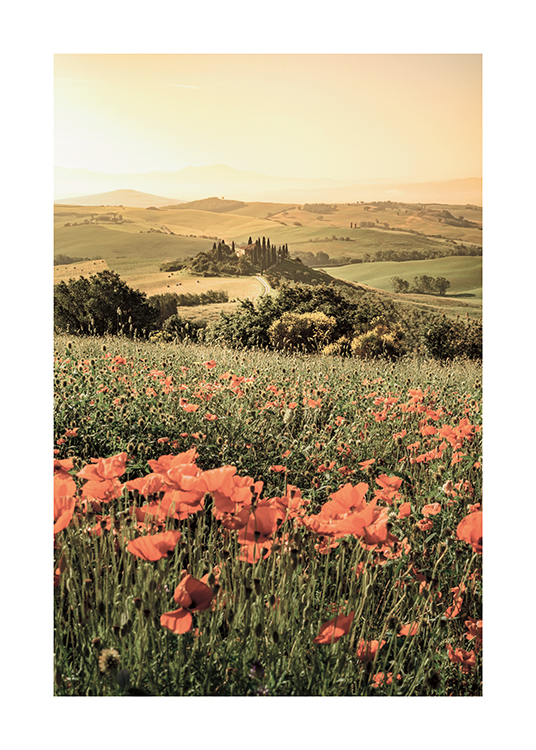 Tuscany Flowers Poster