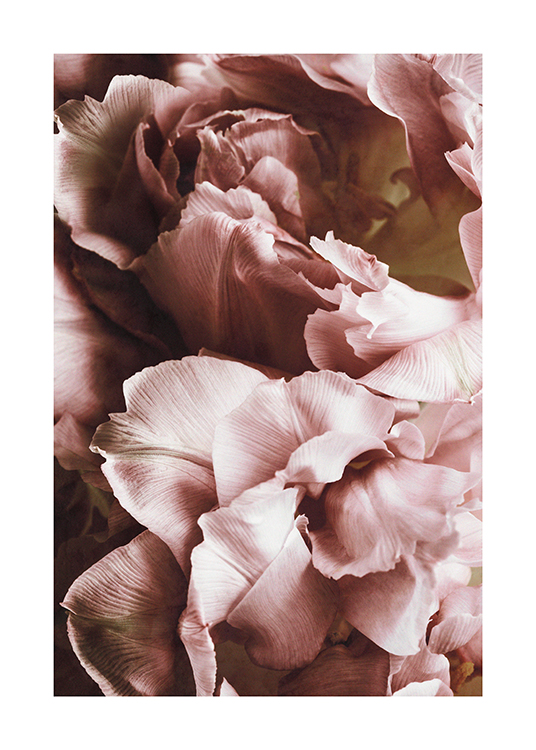 Rustic Roses No1 Poster
