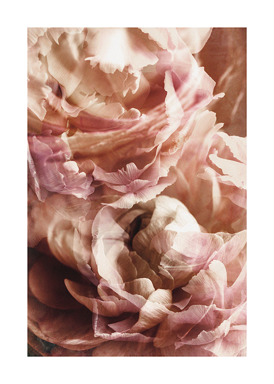 Rustic Roses No2 Poster