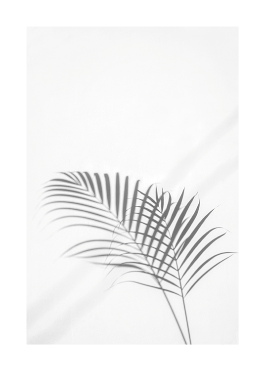 Palm Leaf Shadow Poster