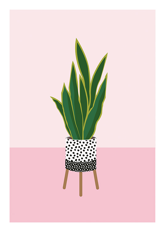 Snake Plant Poster