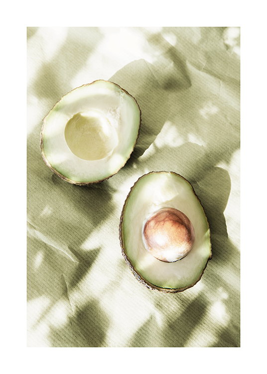 Sunlit Avocados Poster
