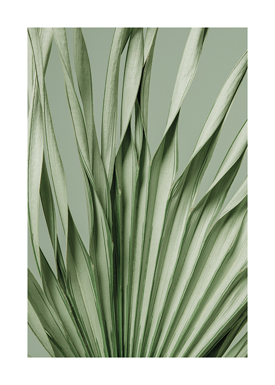Twisted Palm Poster
