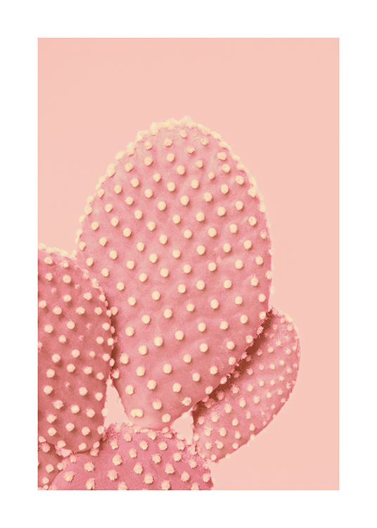 Pink Dotted Cactus Poster