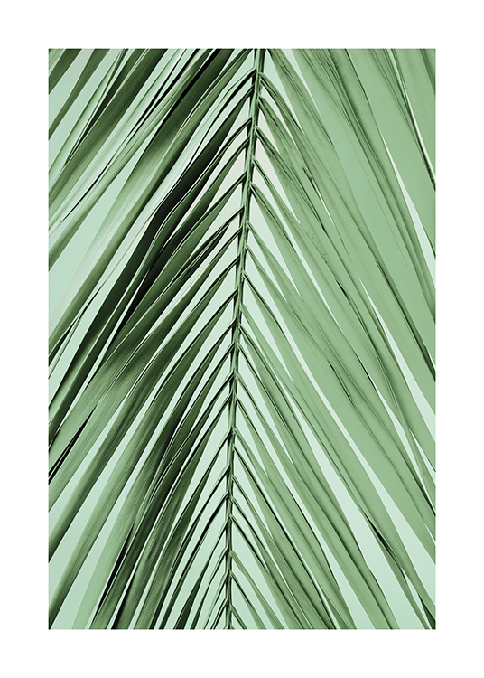 Parlour Palm Leaf Poster