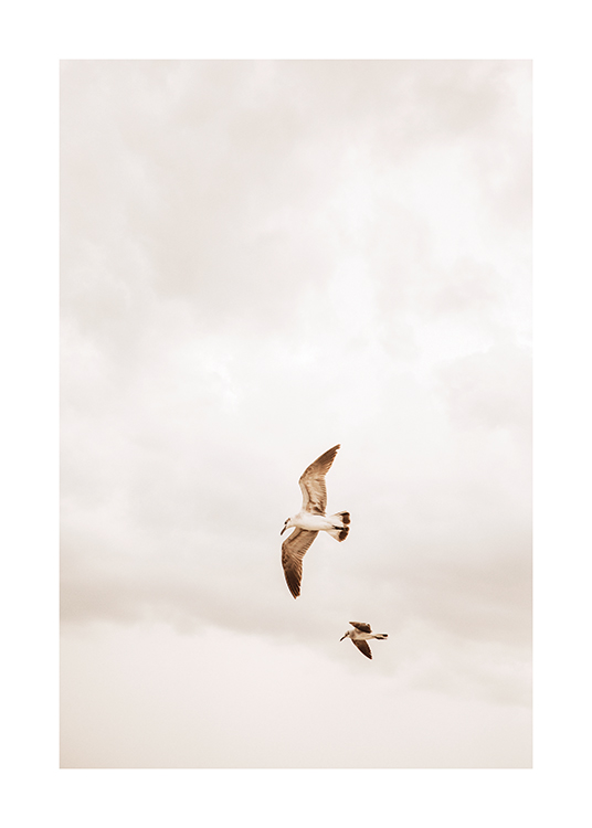 – Uma imagem de dois pássaros a voar num céu nublado
