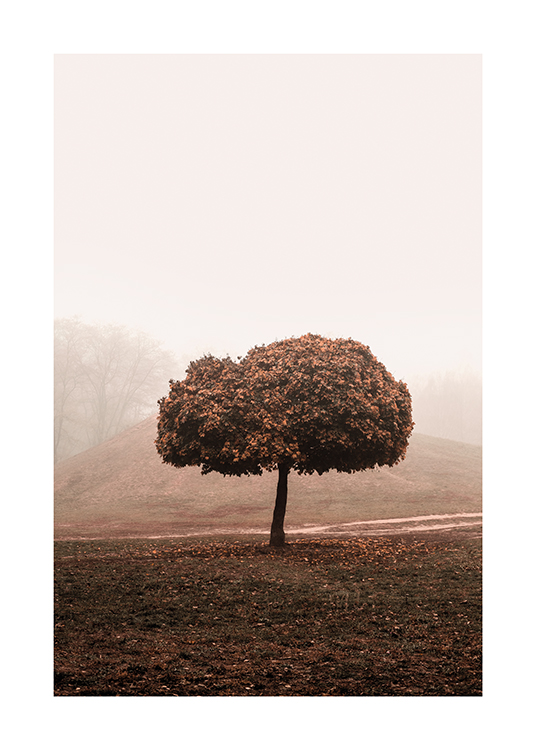  – Fotografia de um campo enevoado com uma árvore no meio e uma grande copa