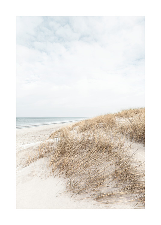 – Fotografia de dunas de areia junto à água