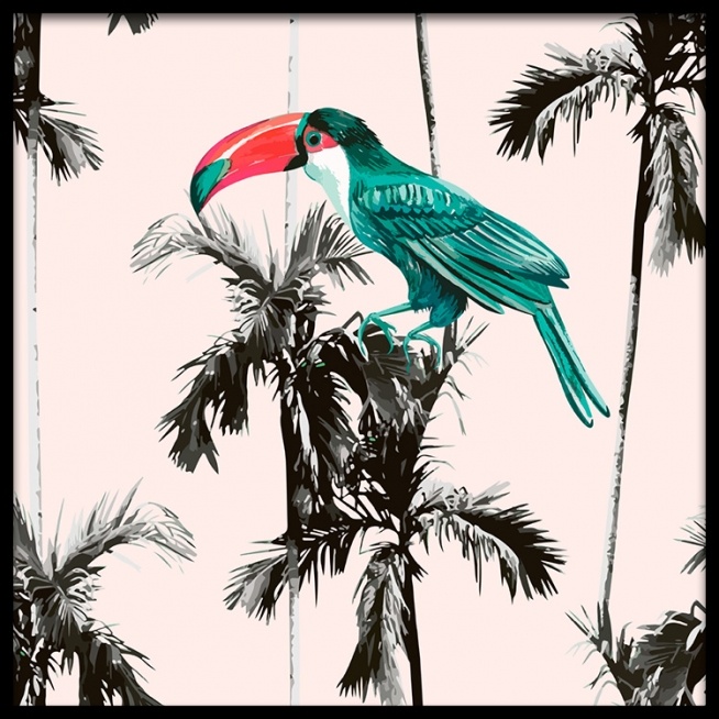 Tropical Toucan Poster / 50x50 cm em Desenio AB (2391)