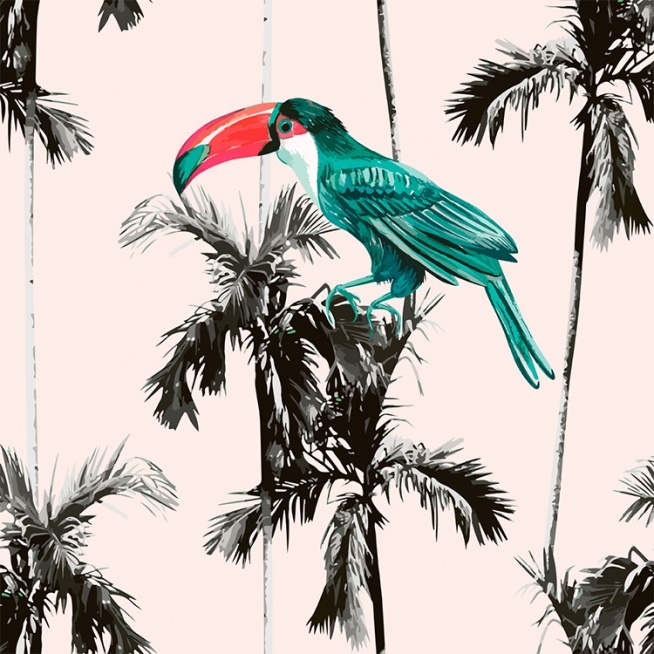 Tropical Toucan Poster / 50x50 cm em Desenio AB (2391)