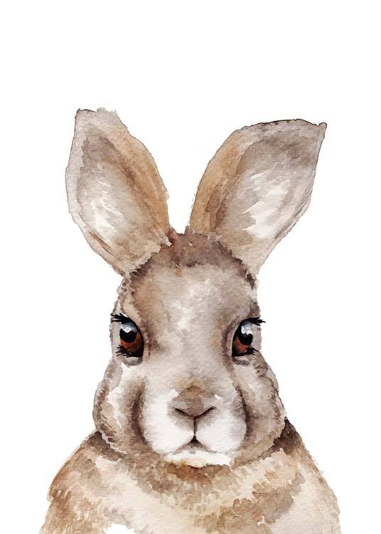 Rabbit Portrait Poster
