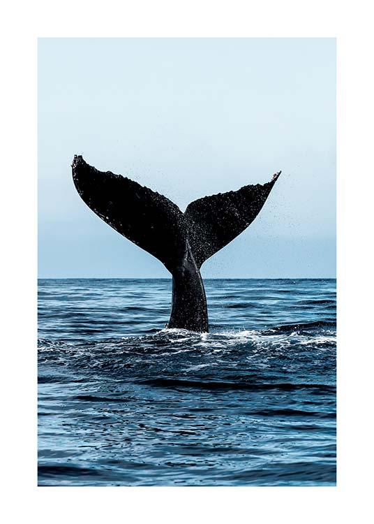 Humpback Tale Poster