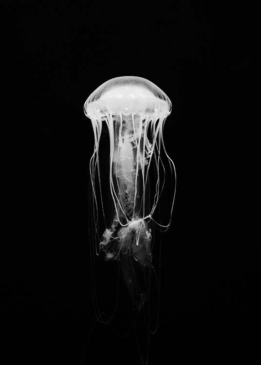 Jellyfish B&W Poster