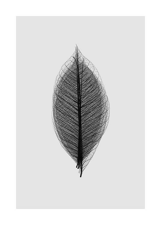 Leaf Overlay Poster