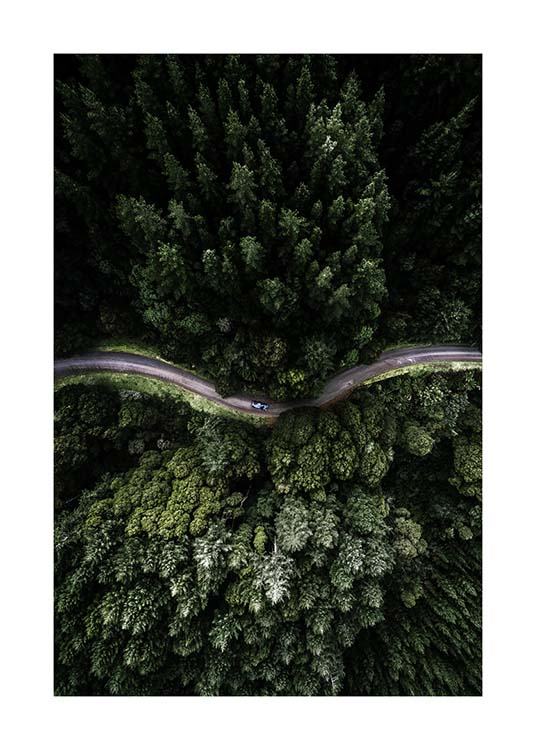 Forest Road Poster