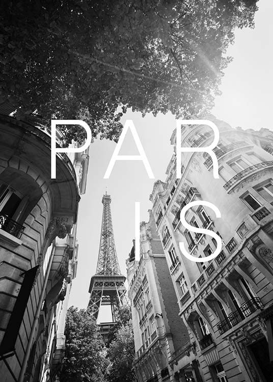 Paris B&W Poster
