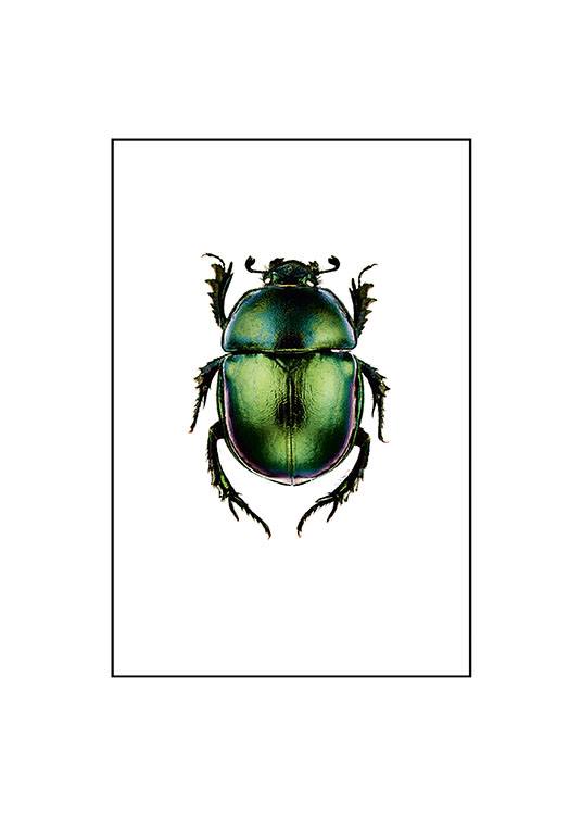 Beetle Small Poster / Vintage em Desenio AB (7430)