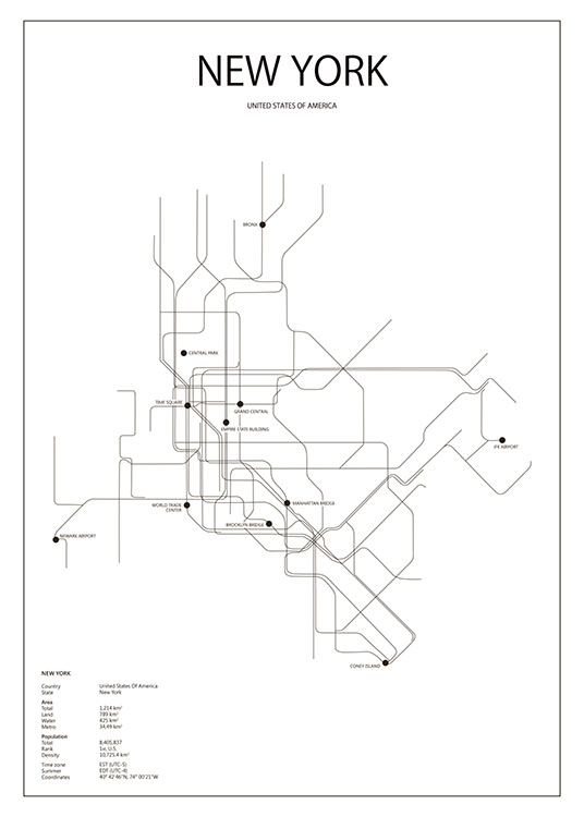 New York Metro Poster