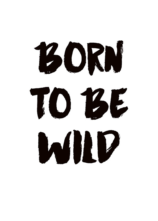 Born To Be Wild Poster