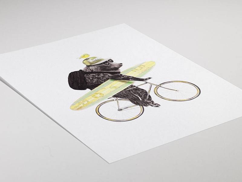 Surfing Bear Poster / Ilustrações de animais em Desenio AB (8183)