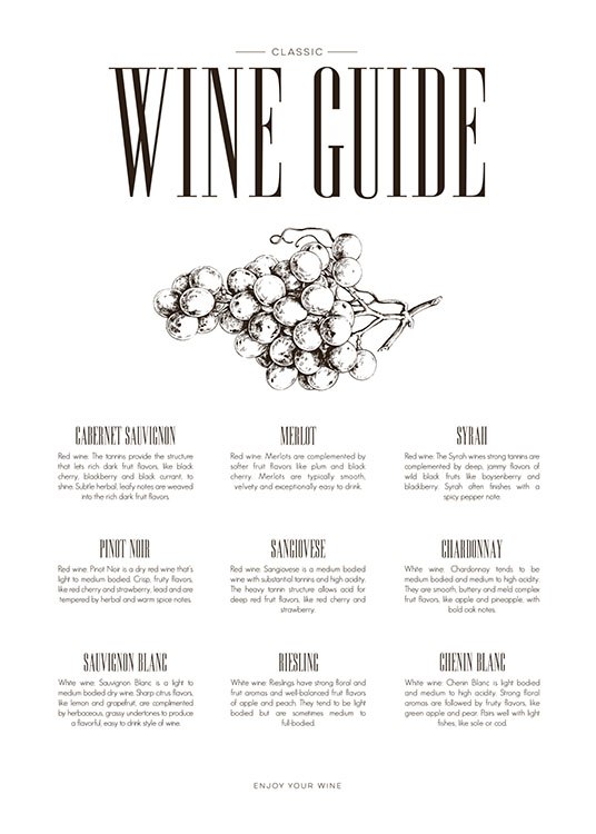 Wine Guide Poster / Pinturas de cozinha em Desenio AB (8228)