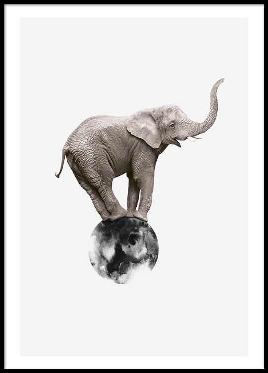 Elephant On Circle Poster / Posters para crianças em Desenio AB (8312)