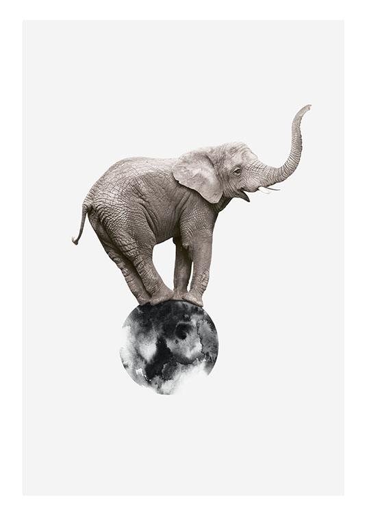 Elephant On Circle Poster / Posters para crianças em Desenio AB (8312)