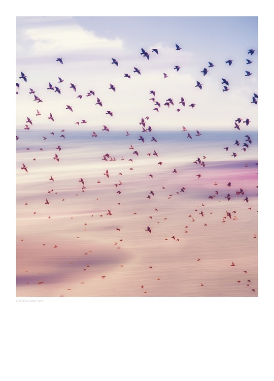 Cotton Candy Sky Poster