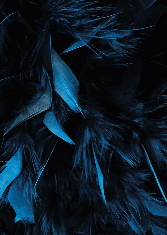 Blue Feathers Poster / Arte fotográfica em Desenio AB (8483)