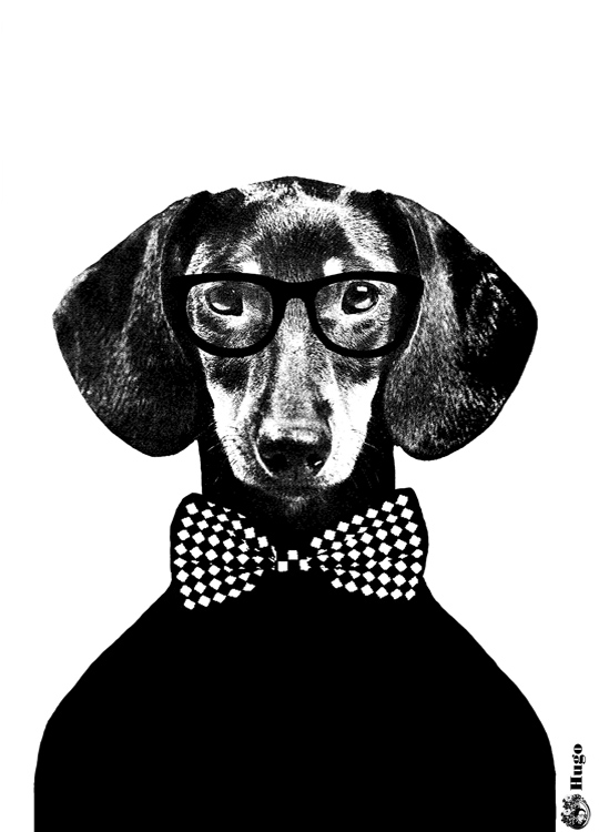 Lisa Bengtsson Hugo Poster