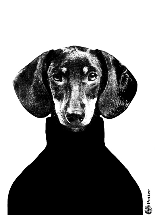 Lisa Bengtsson Petter Poster