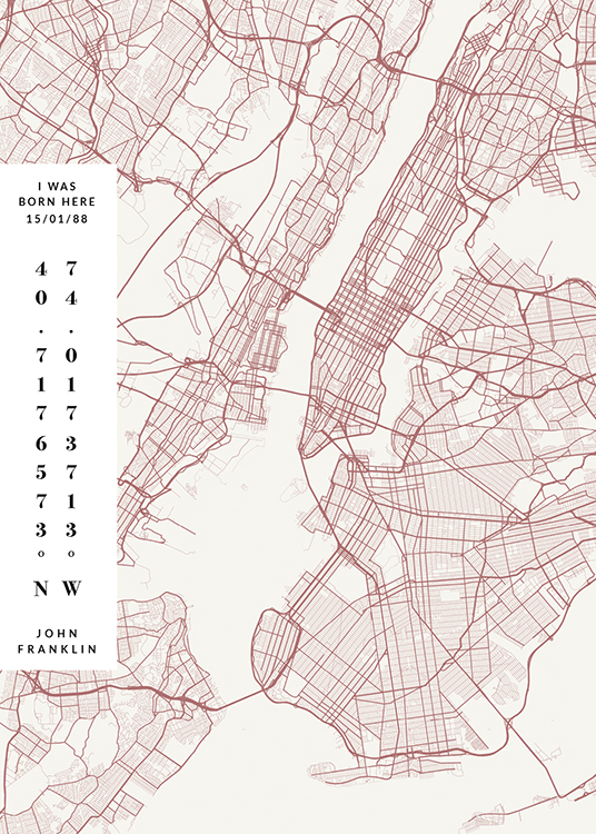 Map No2 Day Pink Personal Poster