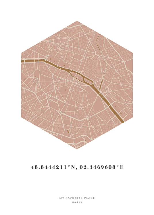 Hexagon Map Pink Mustard Personal Poster