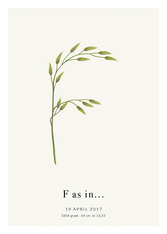 Botanic Letter F Personal Poster