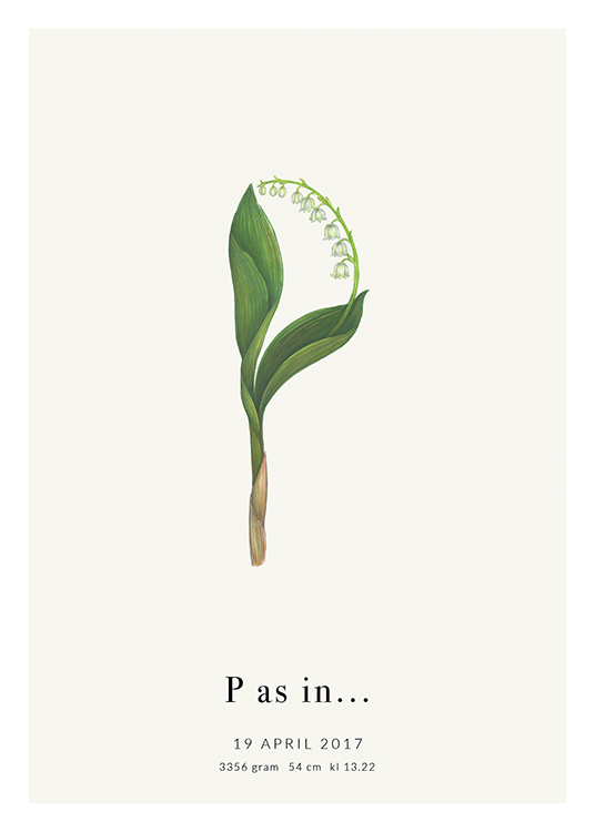 Botanic Letter P Personal Poster