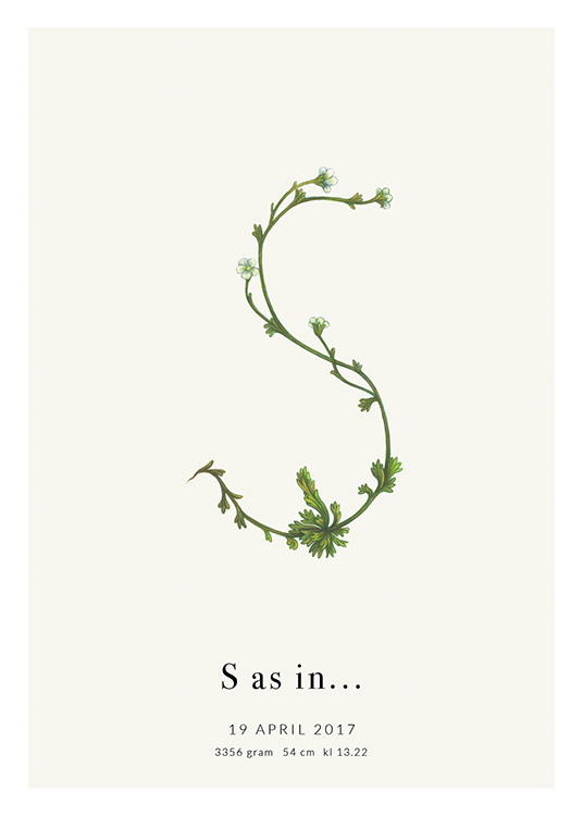 Botanic Letter S Personal Poster