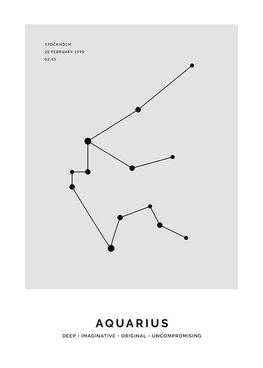 Constellation Grey Aquarius Personal Poster