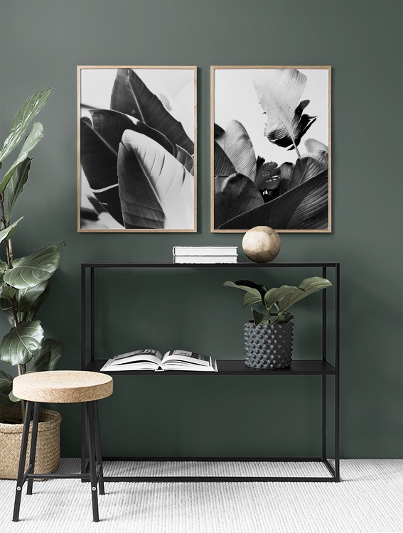 Quadros botânicos, folha de bananeira preto&branco