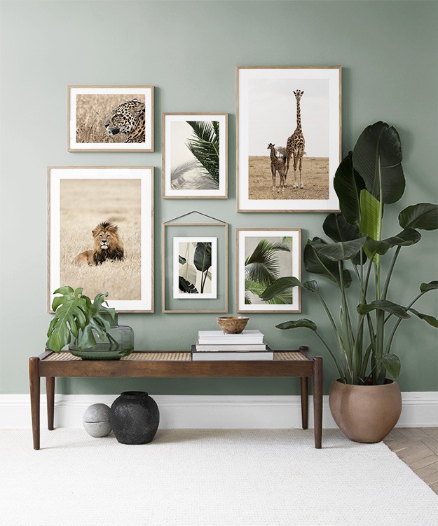 Sla de estar verde com plantas