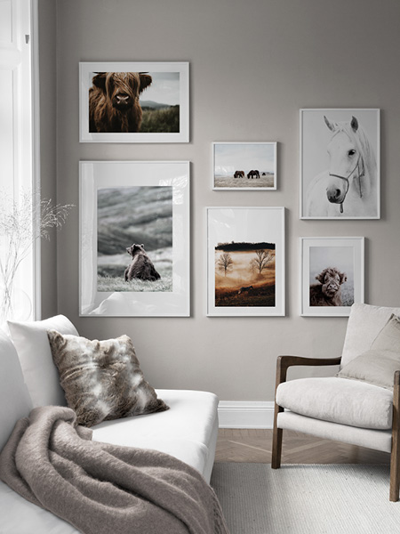 Posters de animais da Desenio